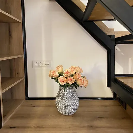 Sleepover Galleria * Novi Sad